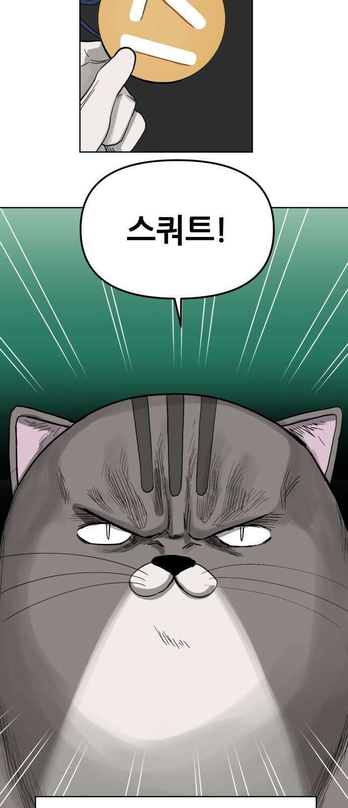 괴양이 86화 - 카이사르의 대모험2 : 뷰티대회 17