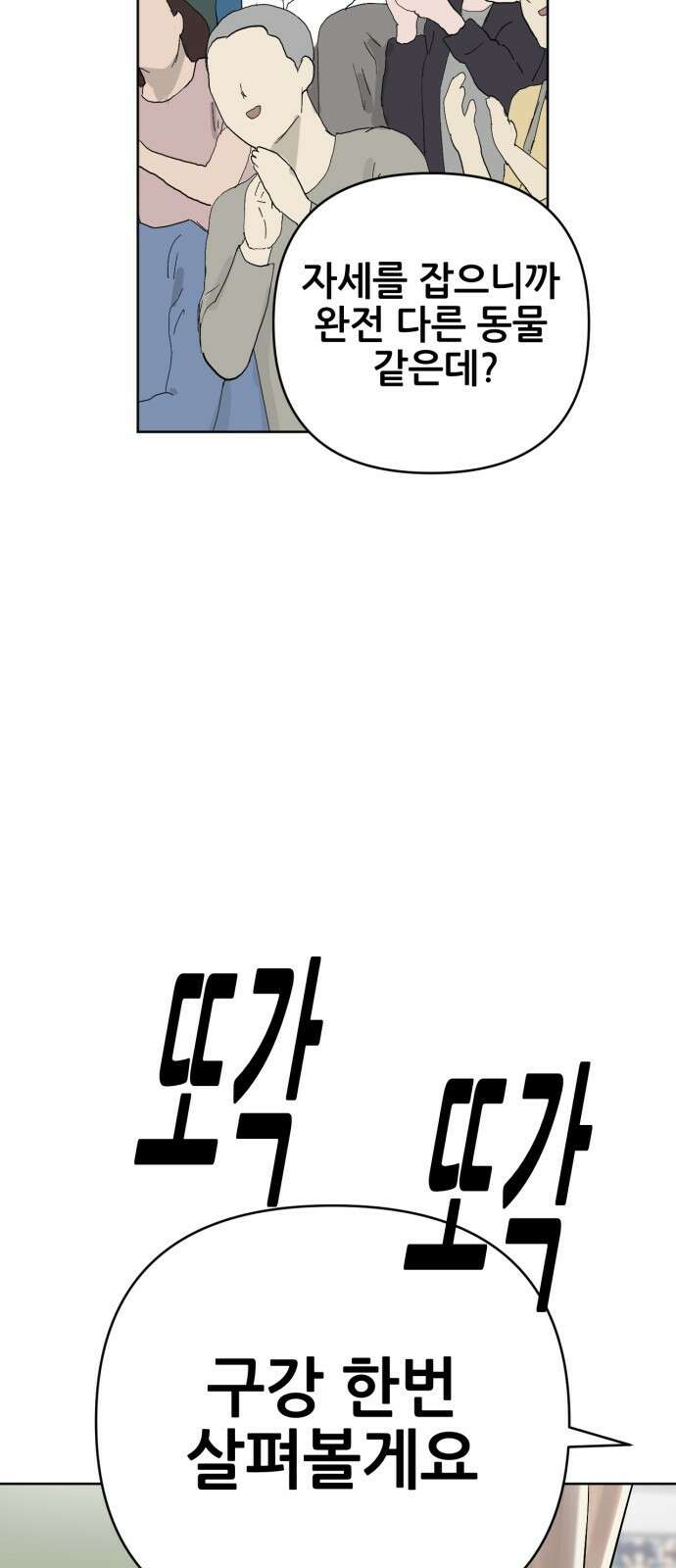 괴양이 86화 - 카이사르의 대모험2 : 뷰티대회 52
