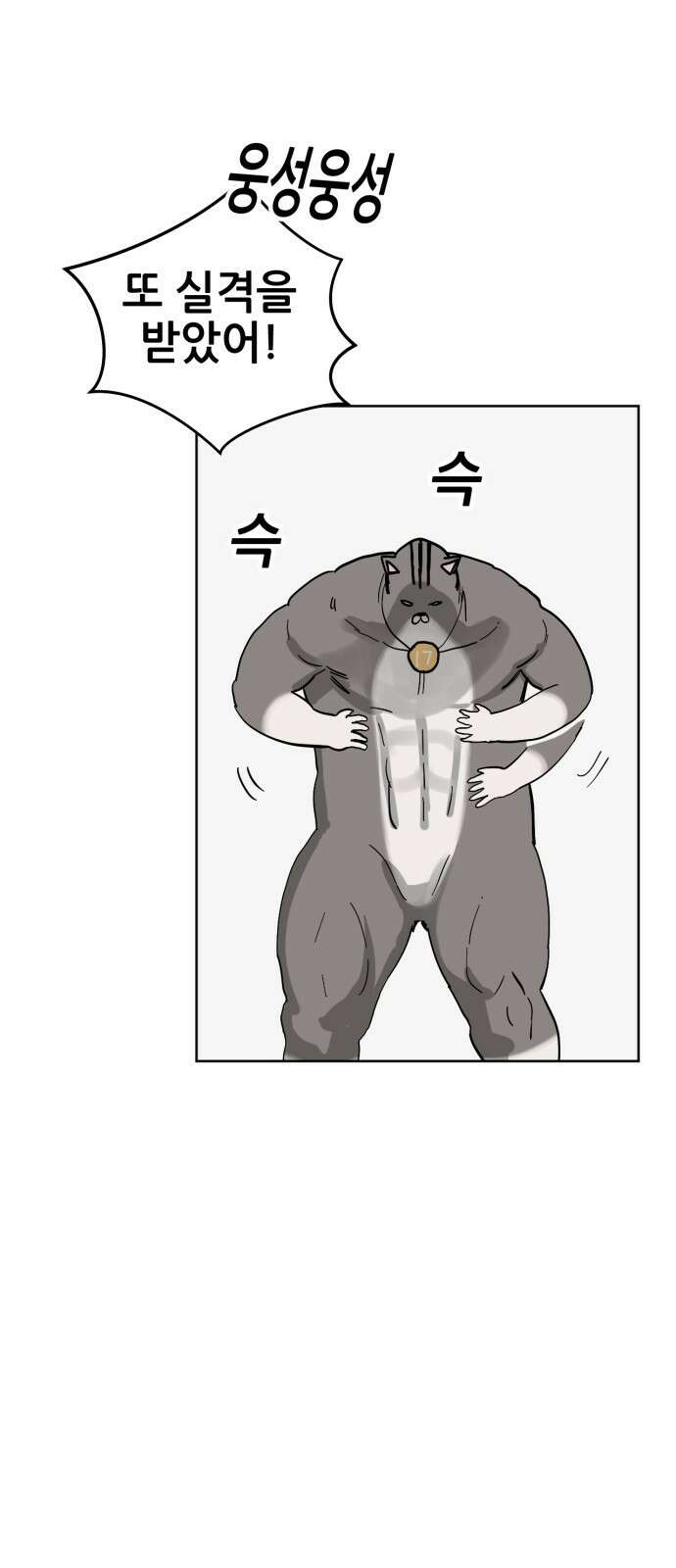 괴양이 86화 - 카이사르의 대모험2 : 뷰티대회 62