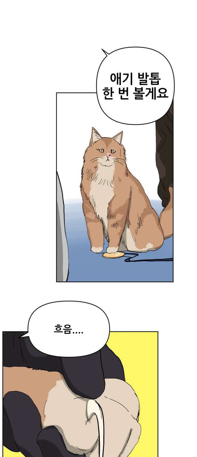괴양이 86화 - 카이사르의 대모험2 : 뷰티대회 63