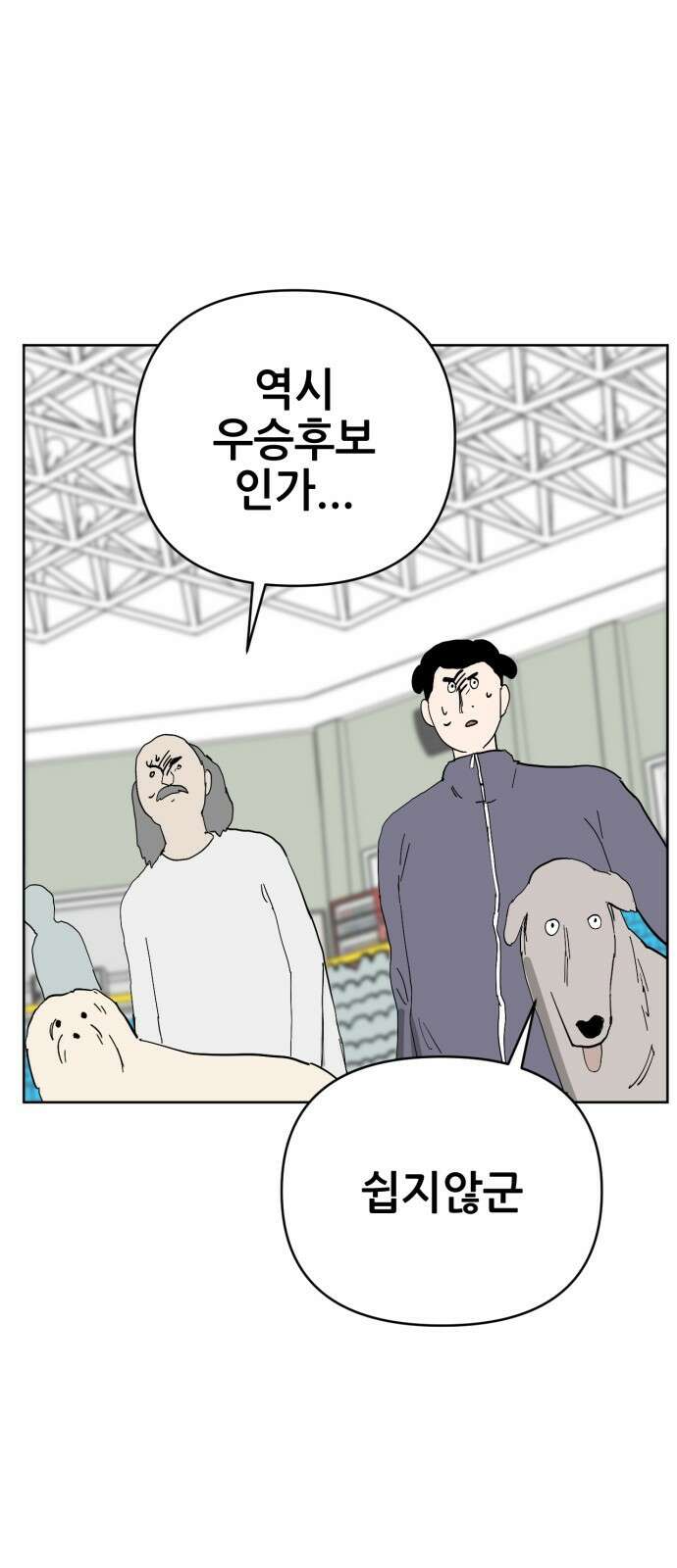 괴양이 86화 - 카이사르의 대모험2 : 뷰티대회 74