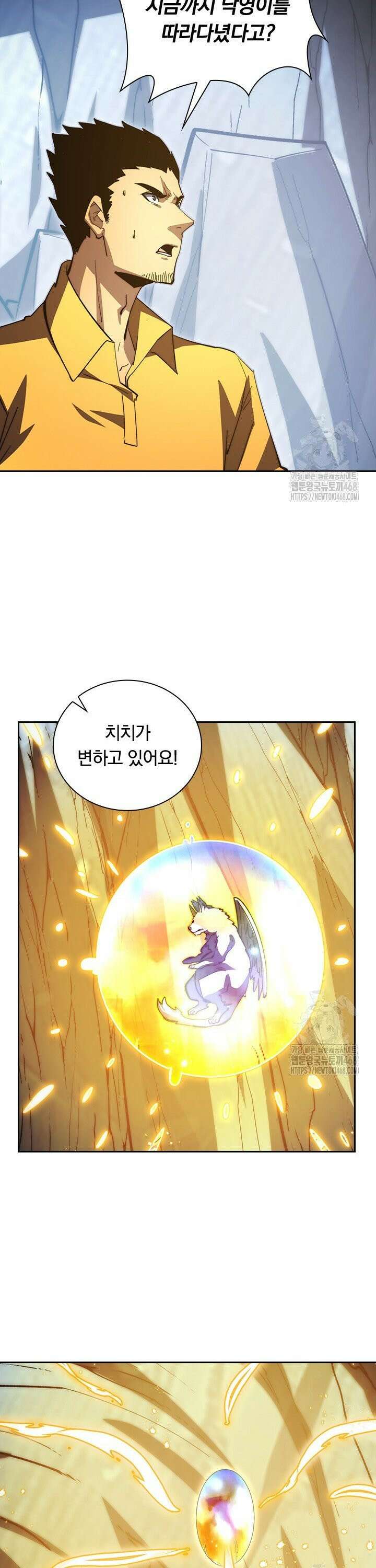 전설 헌터로 키워지는 중입니다 276화 23