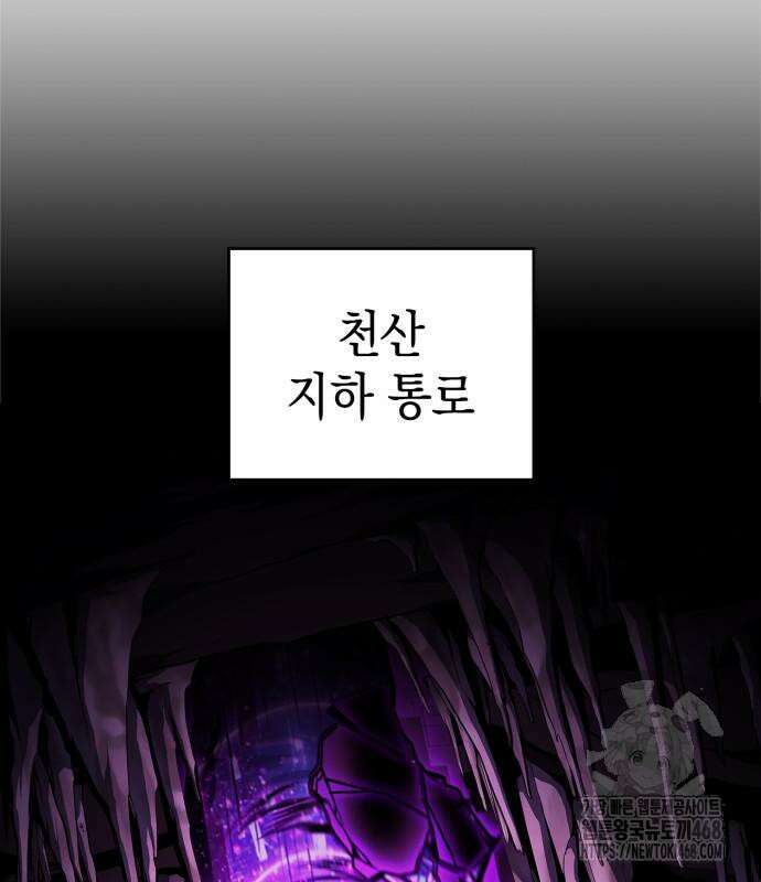 나 혼자 만렙 뉴비 199화 26