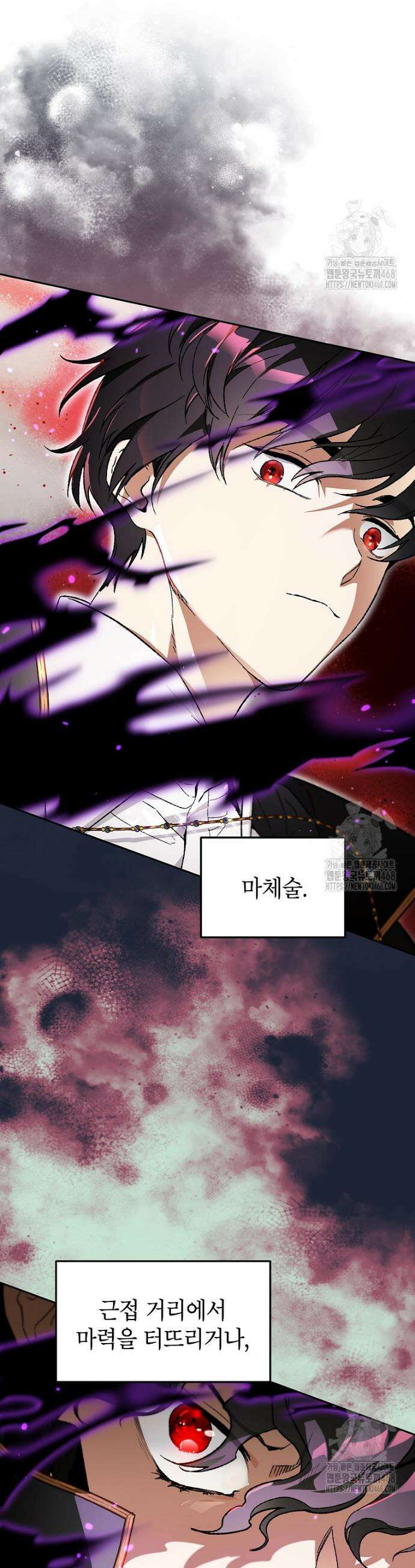 암흑명가 천재 망나니가 되었다 24화 35