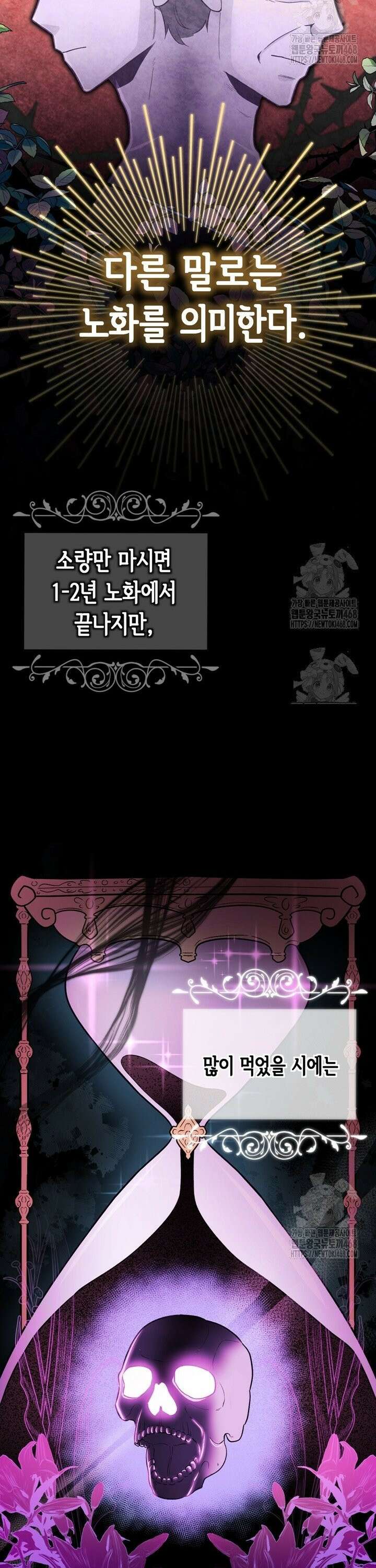 몰락한 왕녀에게는 회귀가 필요합니다 6화 31