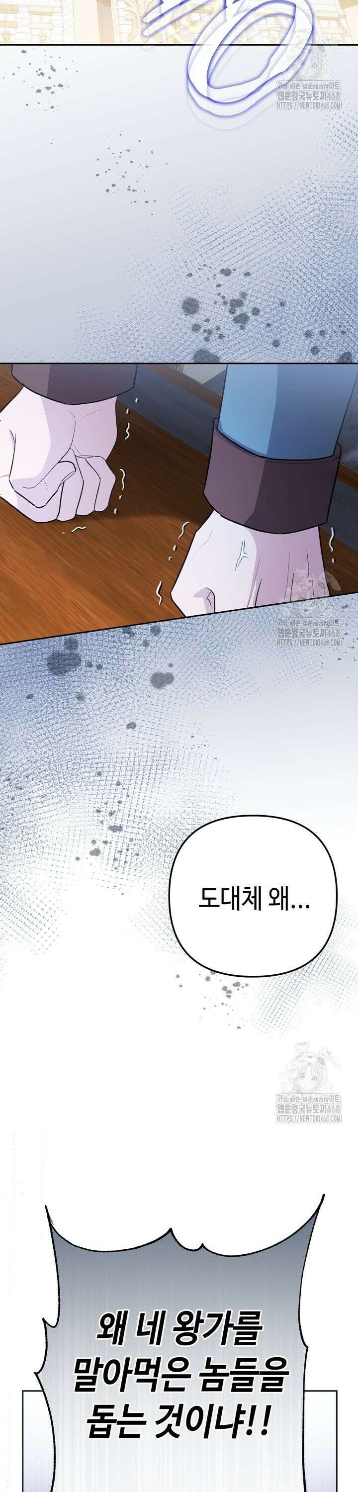 몰락한 왕녀에게는 회귀가 필요합니다 16화 2