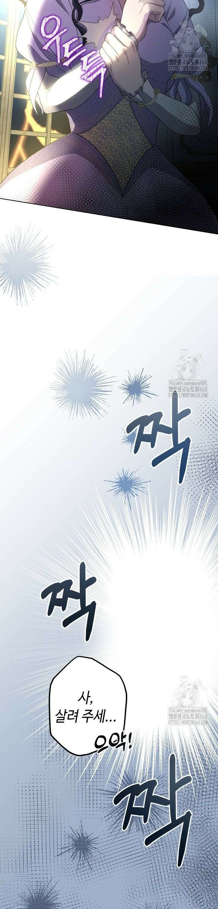 몰락한 왕녀에게는 회귀가 필요합니다 16화 12