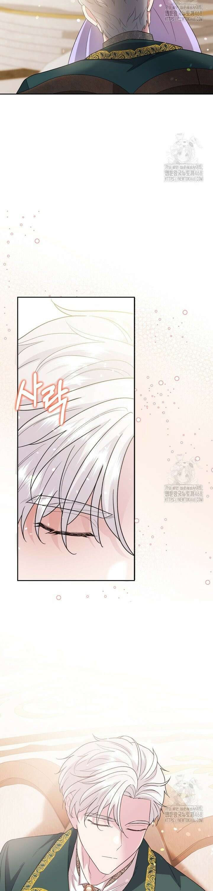 몰락한 왕녀에게는 회귀가 필요합니다 16화 23