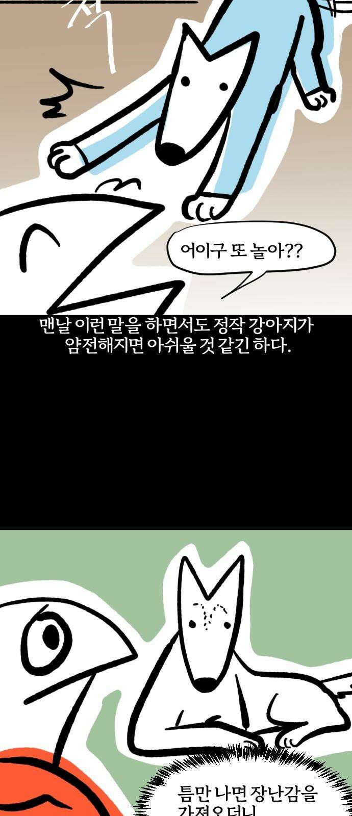개집사 77화: 어쩔티비 17