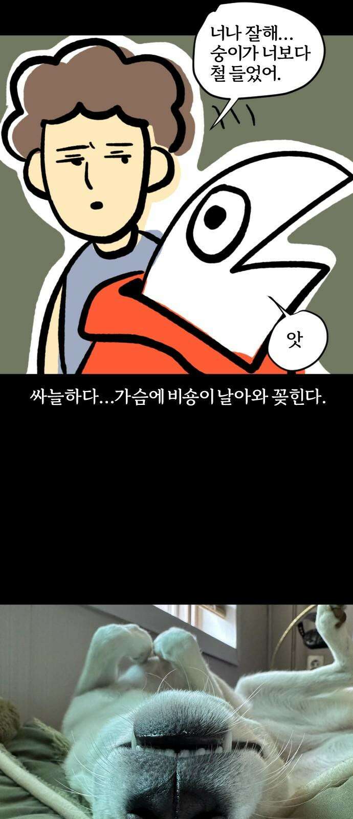 개집사 77화: 어쩔티비 19
