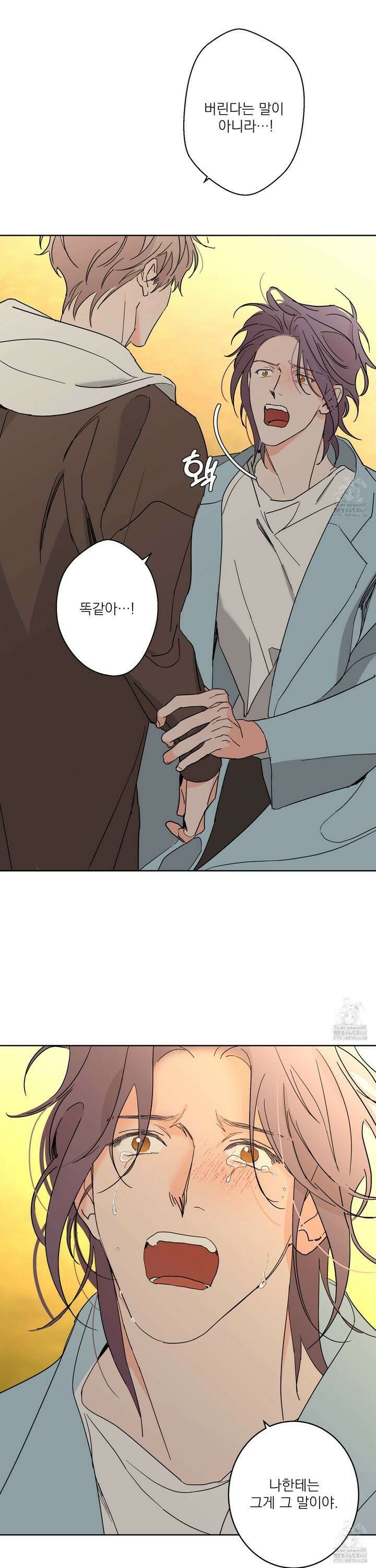 볶은 콩에 싹이 날까? 97화 12