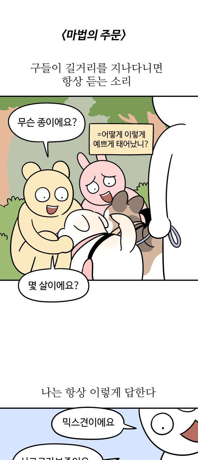 노곤하개 쇼츠 마법의 주문 2