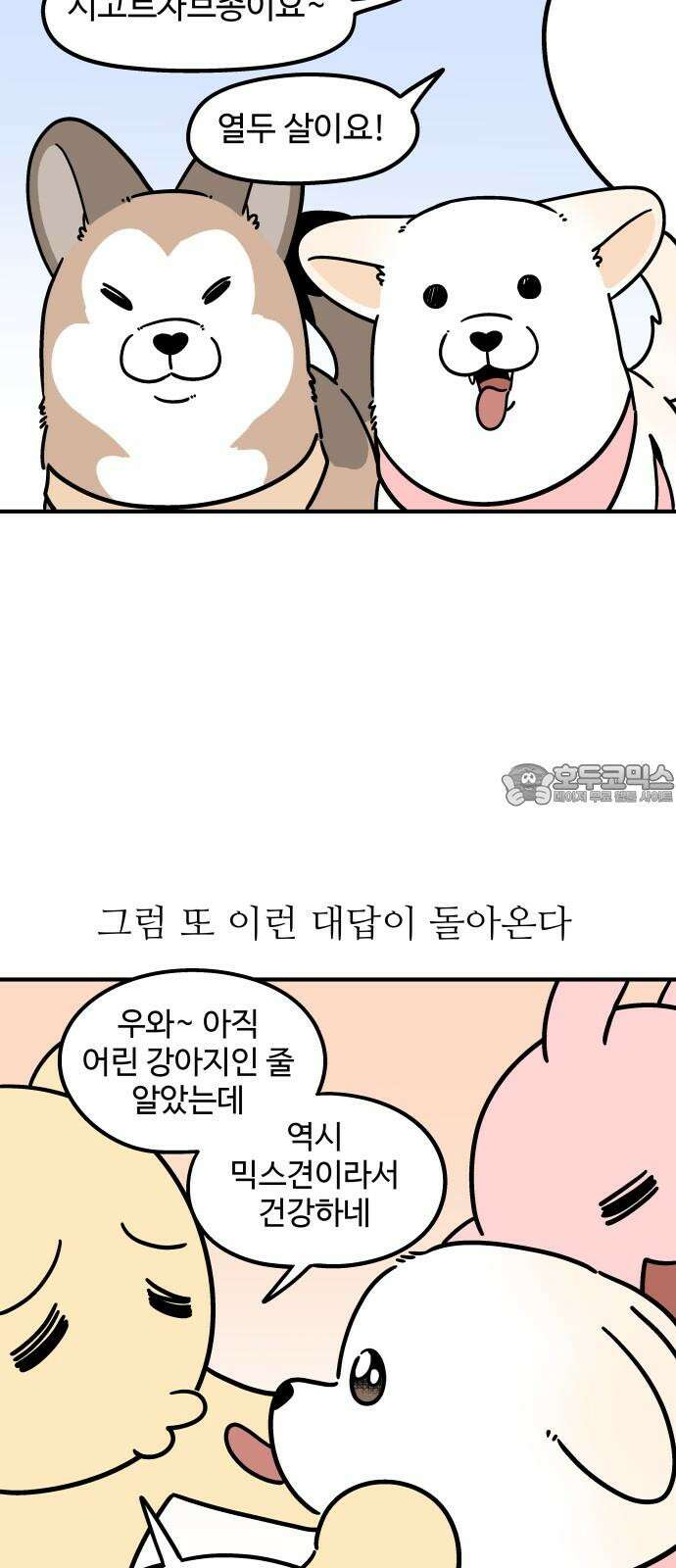 노곤하개 쇼츠 마법의 주문 3