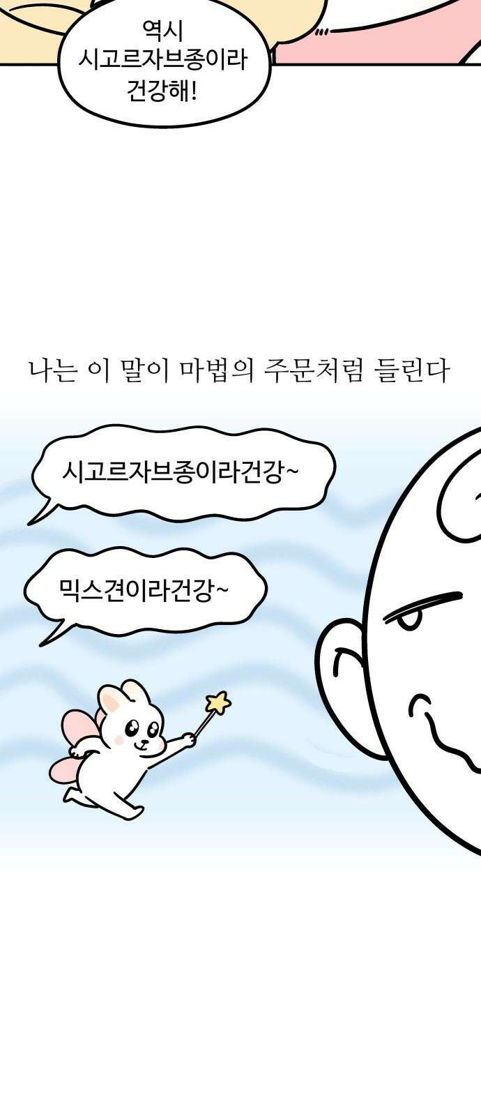 노곤하개 쇼츠 마법의 주문 4