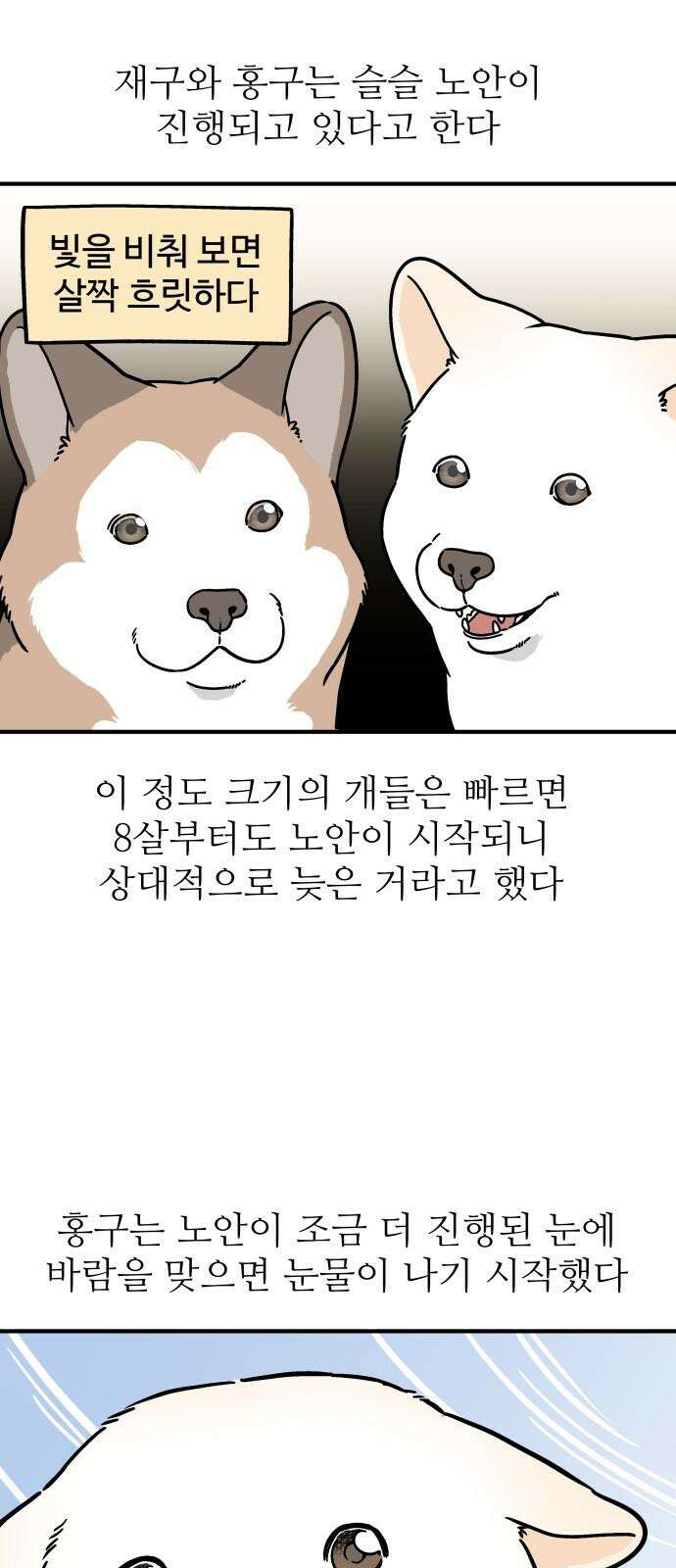 노곤하개 쇼츠 마법의 주문 5