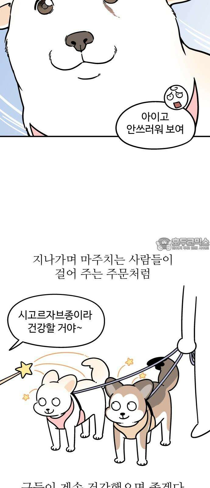 노곤하개 쇼츠 마법의 주문 6