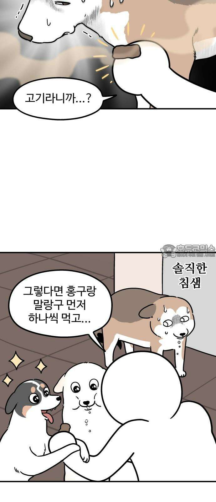 노곤하개 쇼츠 마법의 주문 9