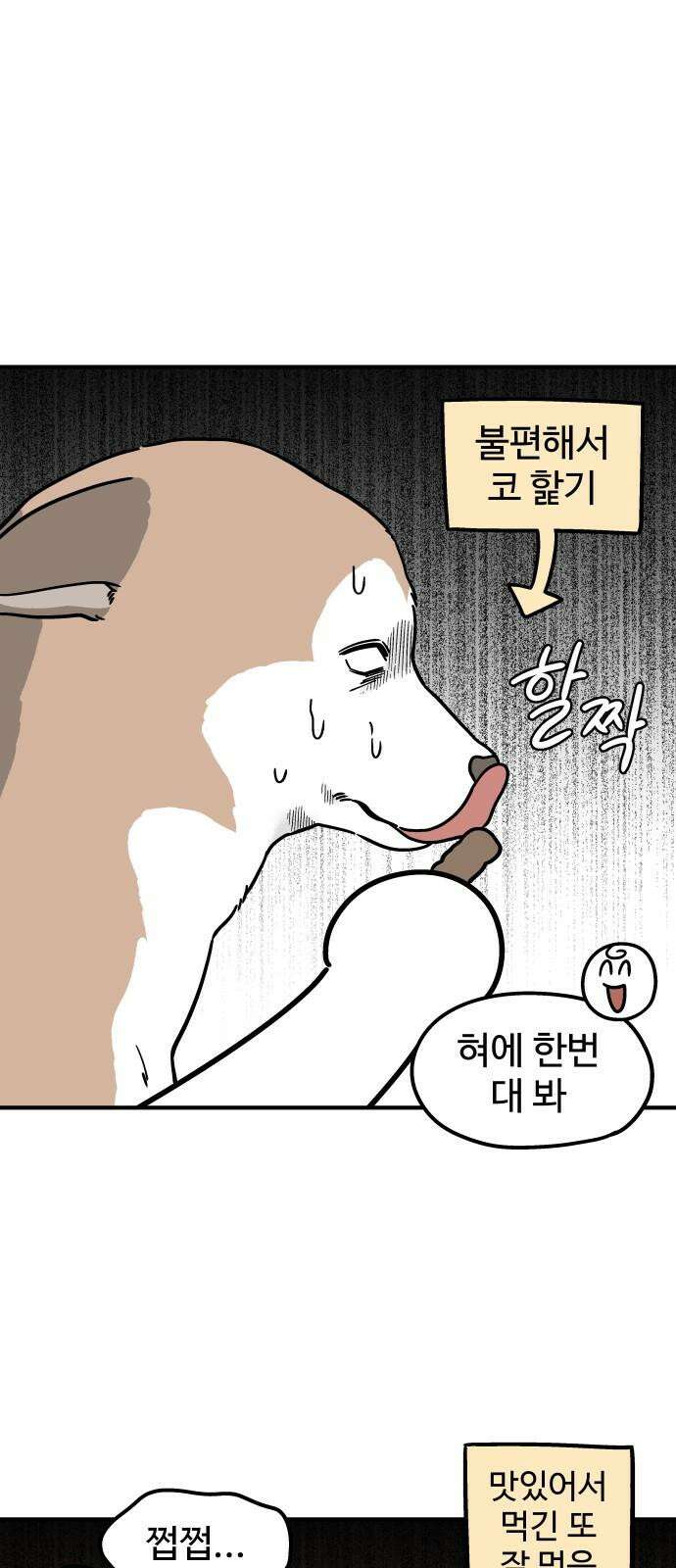 노곤하개 쇼츠 마법의 주문 10