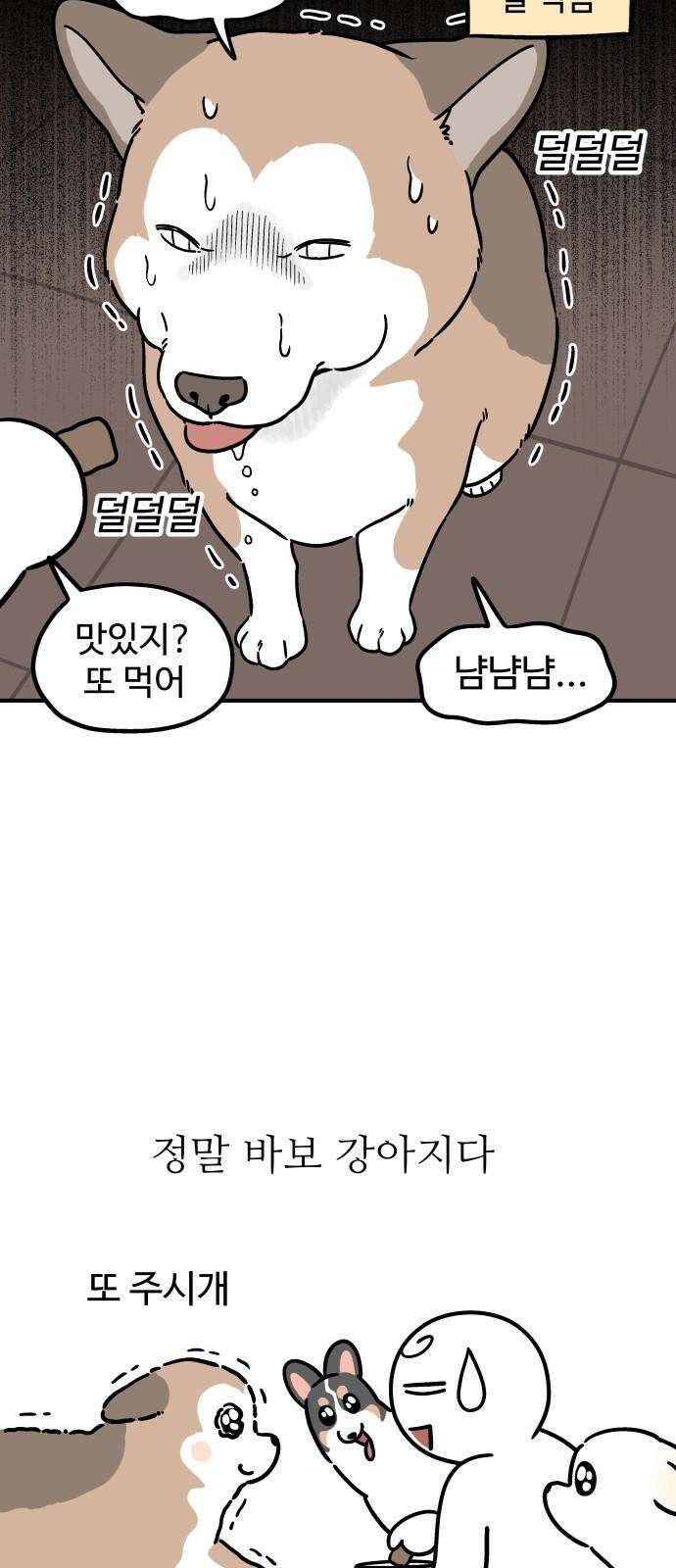 노곤하개 쇼츠 마법의 주문 11