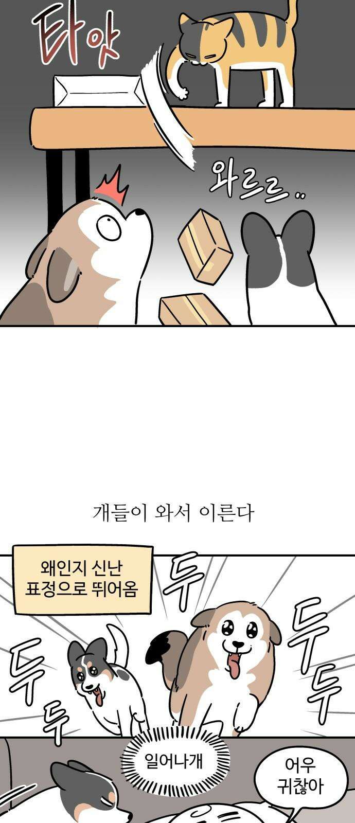 노곤하개 쇼츠 마법의 주문 14