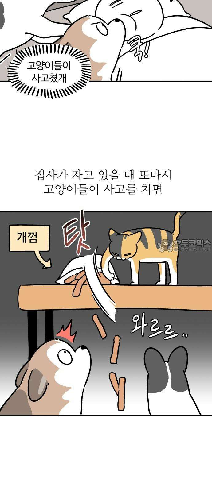 노곤하개 쇼츠 마법의 주문 15