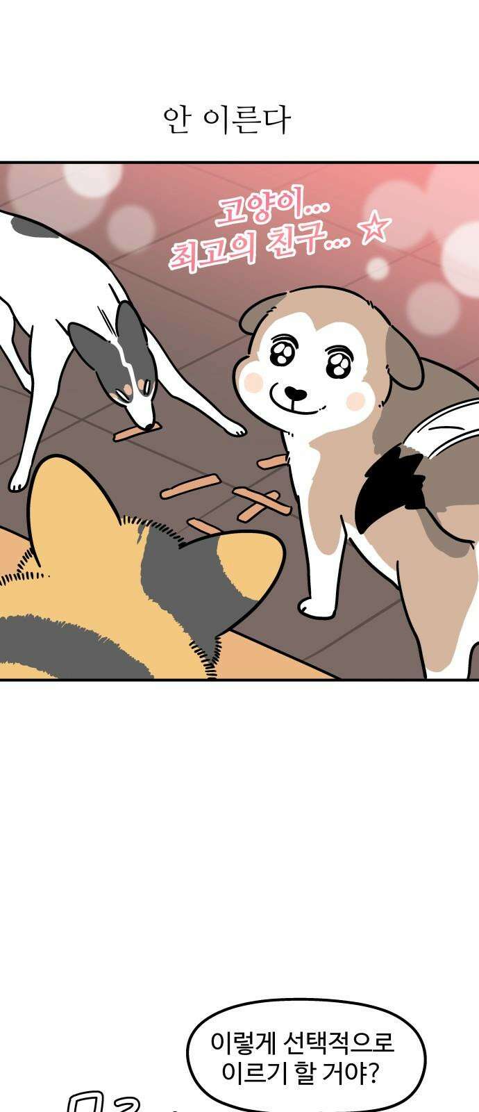 노곤하개 쇼츠 마법의 주문 16