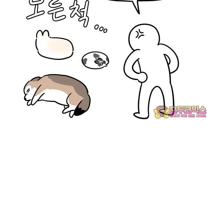 노곤하개 쇼츠 마법의 주문 17