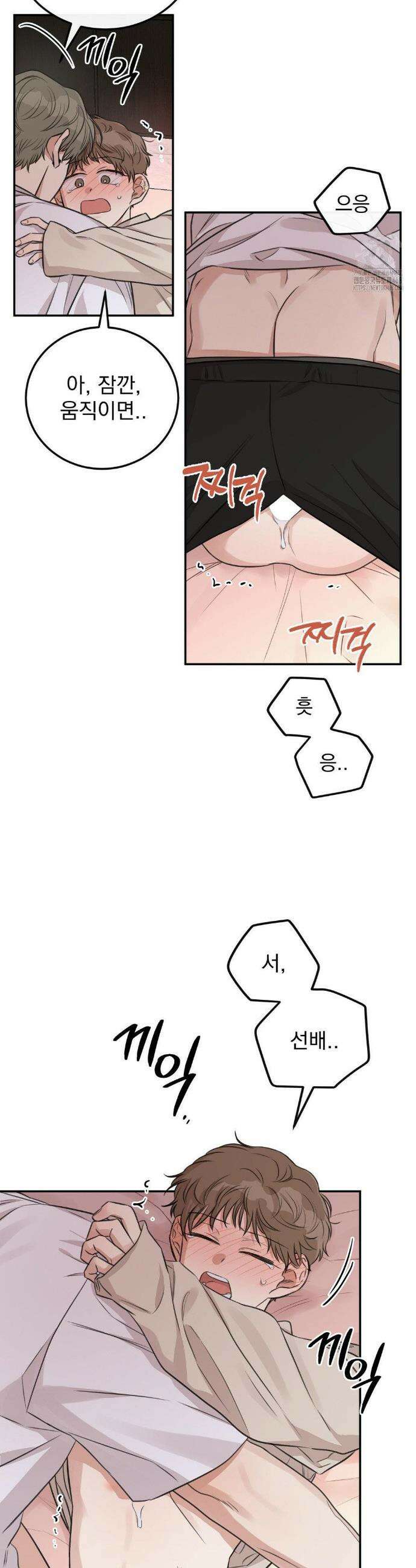 샌드위치 패러독스 14화 4