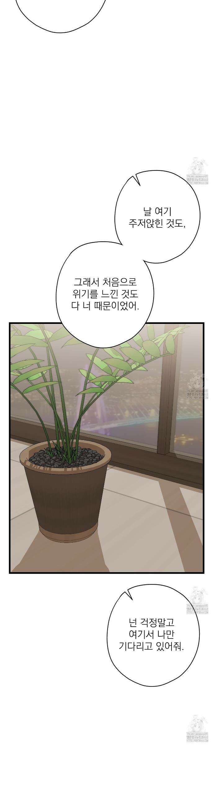 캔디 계약서 32화 34