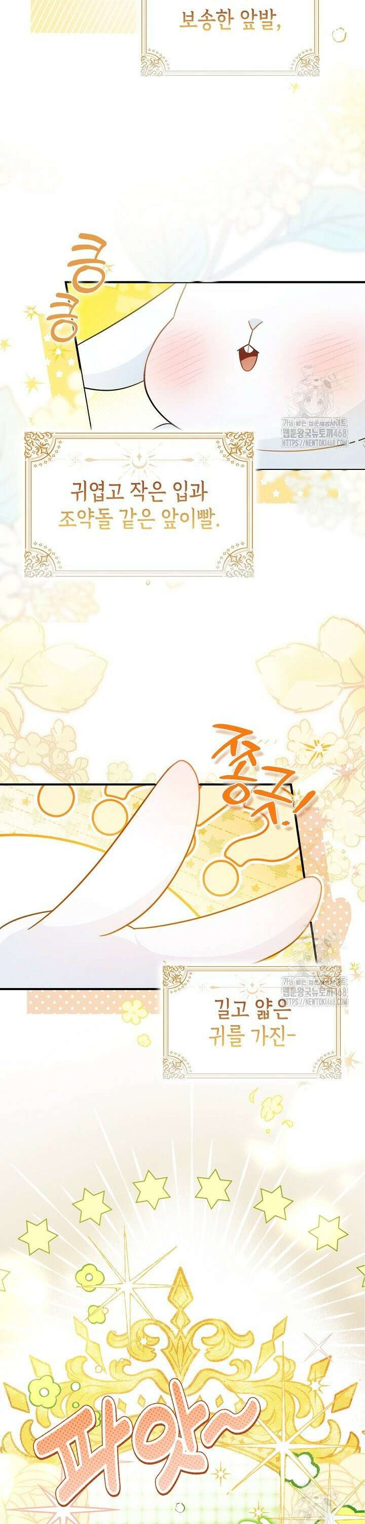 토끼라뇨, 누가 봐도 맹수인데 1화 4