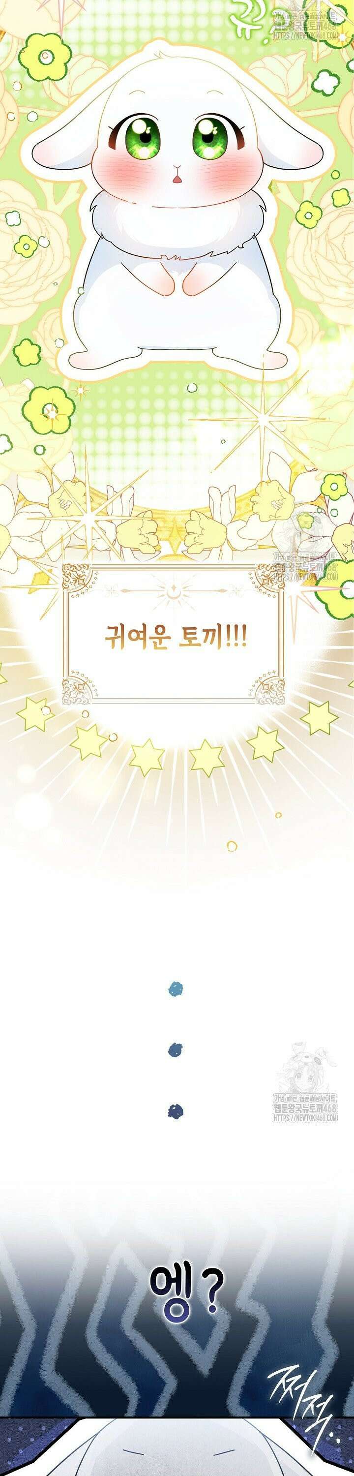토끼라뇨, 누가 봐도 맹수인데 1화 5