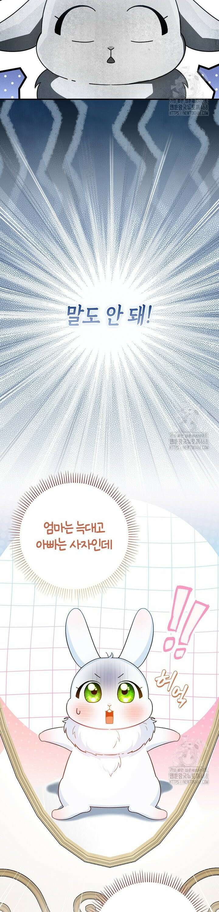 토끼라뇨, 누가 봐도 맹수인데 1화 6
