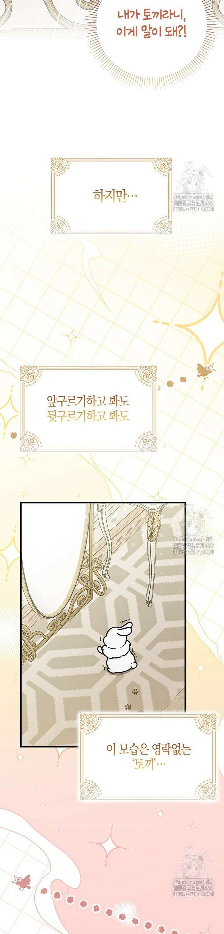 토끼라뇨, 누가 봐도 맹수인데 1화 7