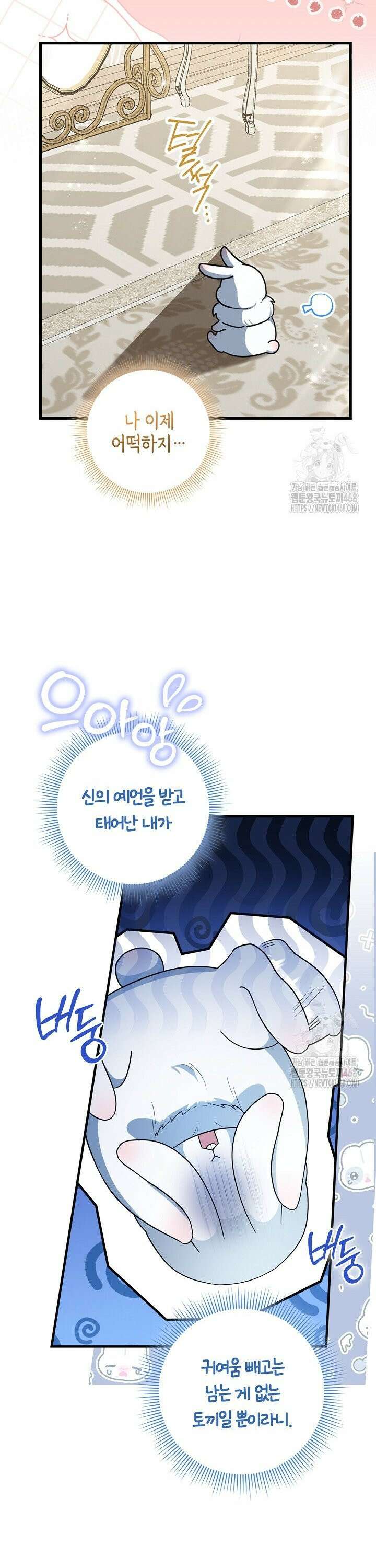 토끼라뇨, 누가 봐도 맹수인데 1화 8
