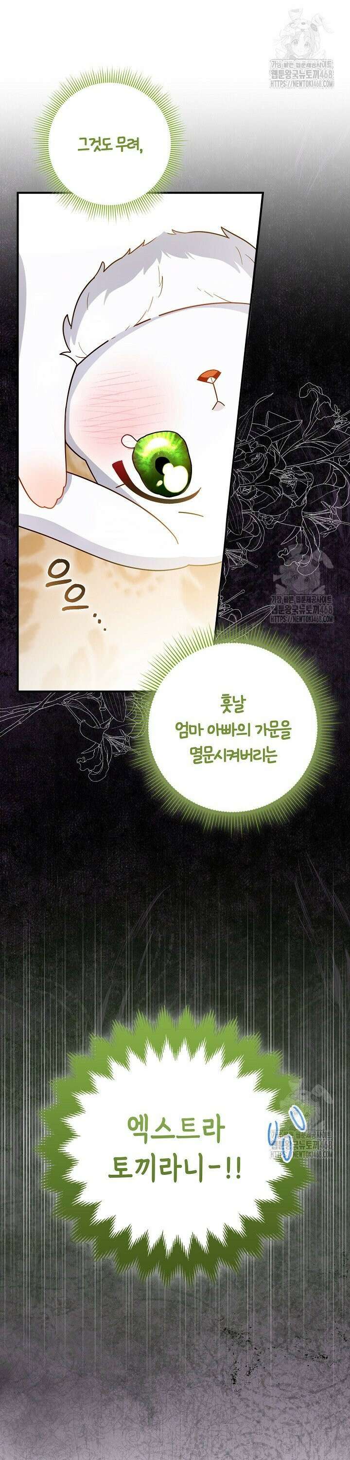 토끼라뇨, 누가 봐도 맹수인데 1화 9