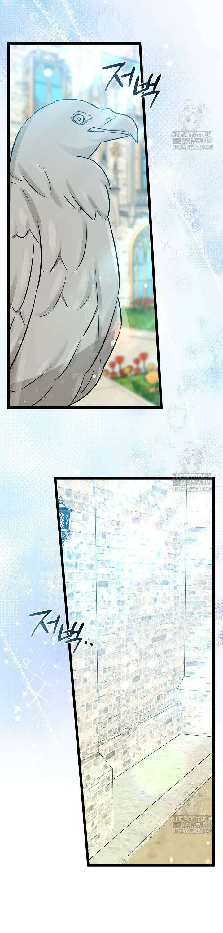 토끼라뇨, 누가 봐도 맹수인데 14화 10