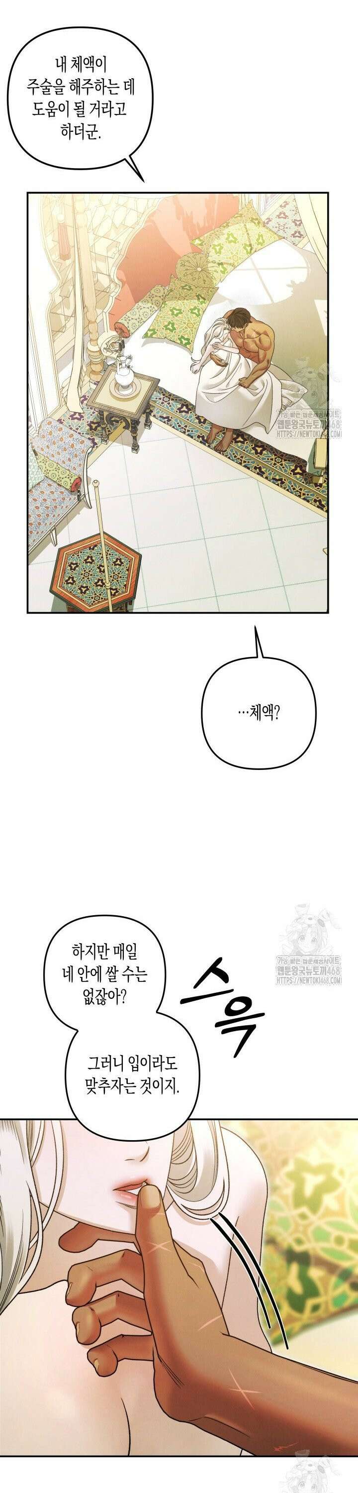 약탈혼 (완전판) 63화 19