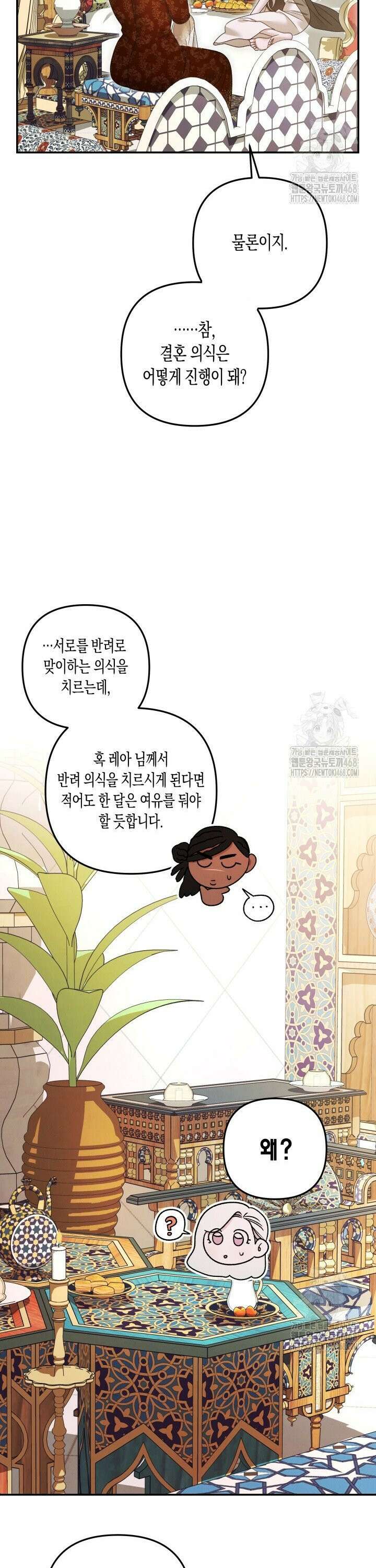 약탈혼 (완전판) 63화 36