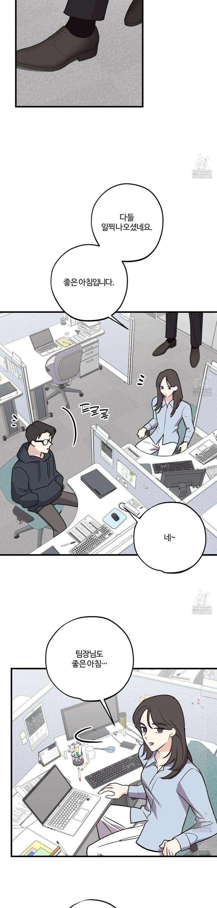 임시 연애 경보 24화 2