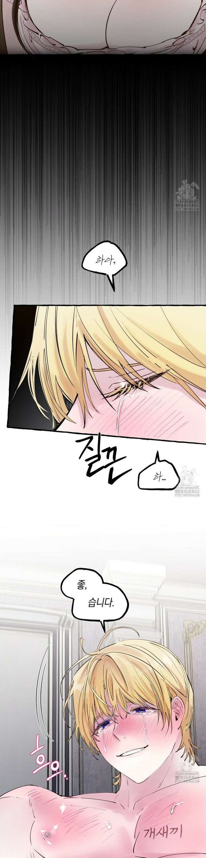 황궁의 정원에는 개가 산다 47화 19