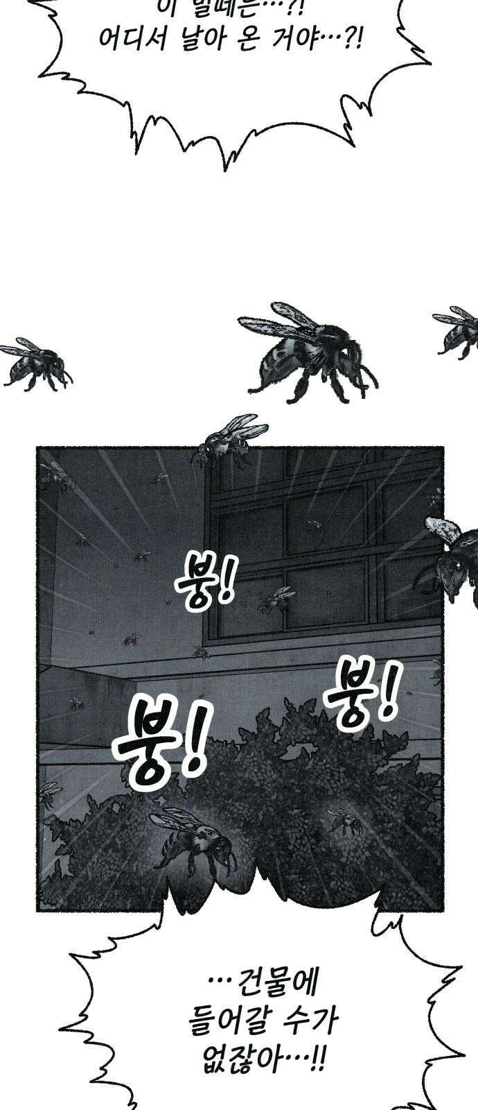 벌집 71화 37