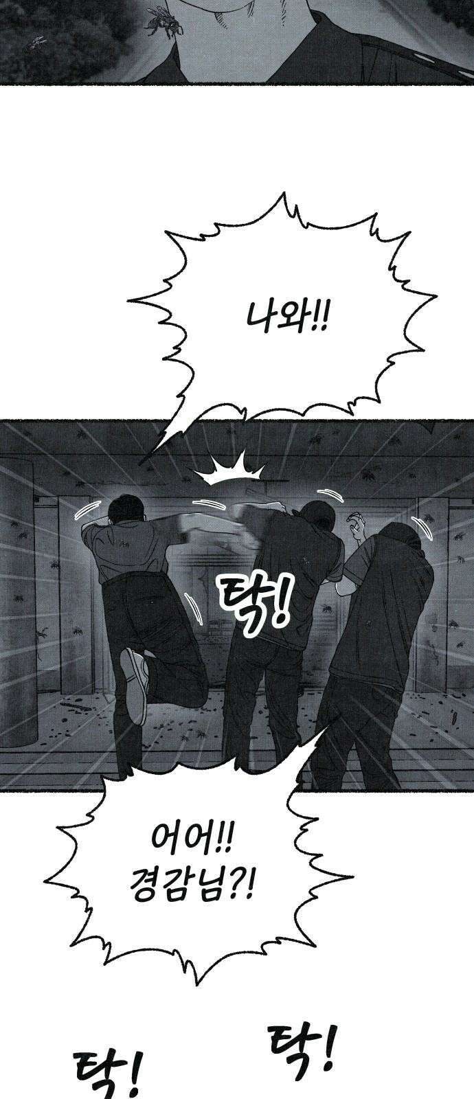 벌집 71화 47