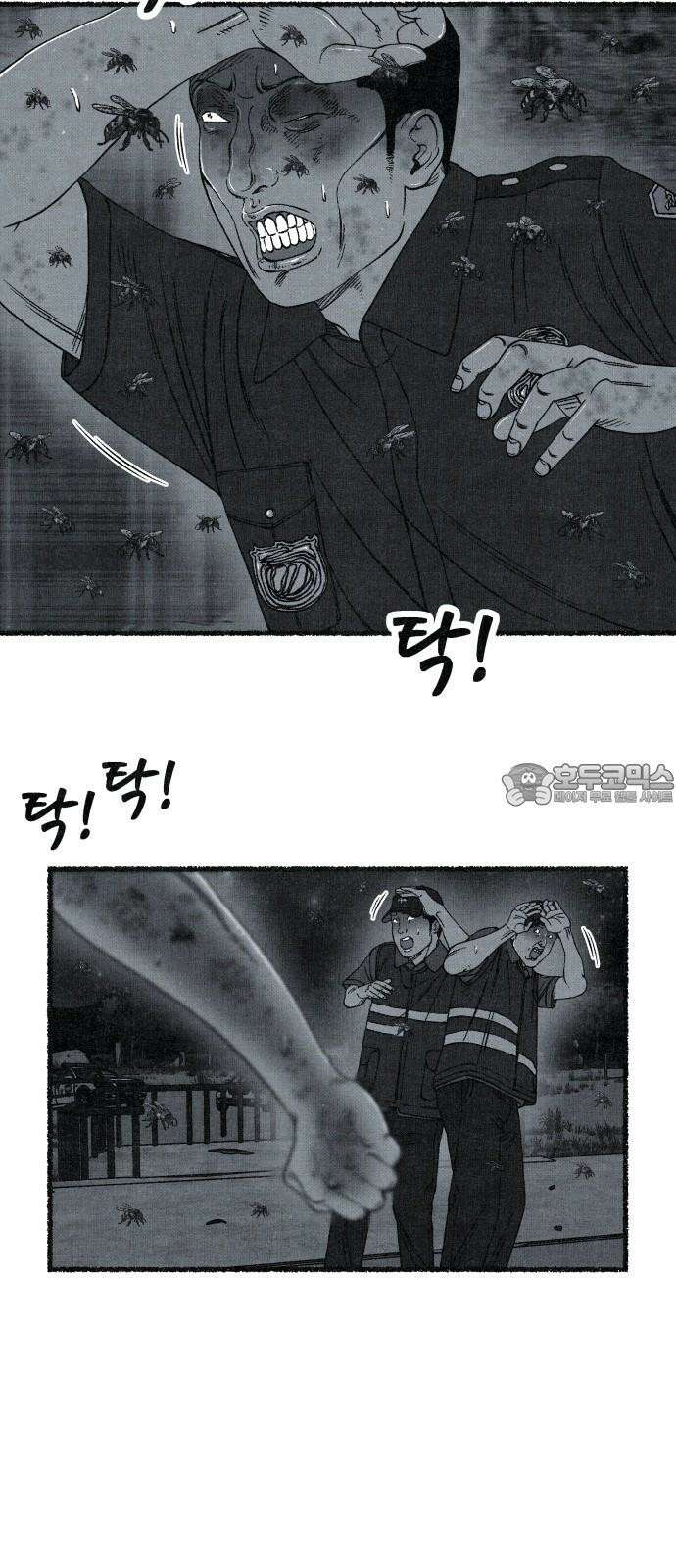 벌집 71화 48