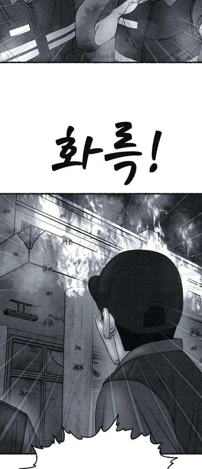 벌집 71화 50