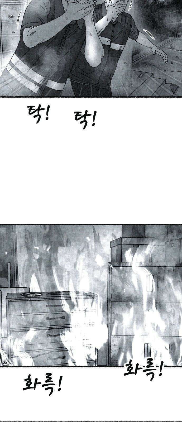 벌집 71화 52