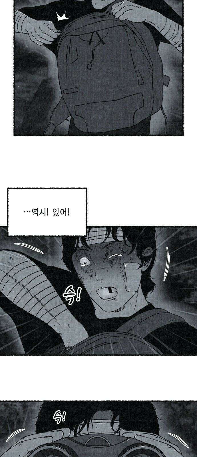 벌집 71화 65
