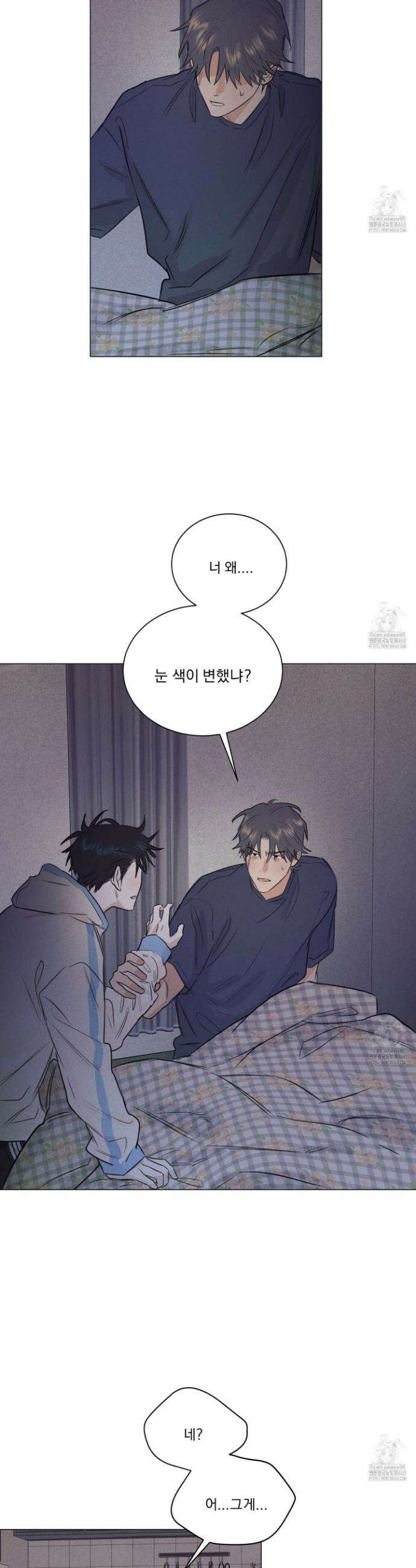 식후경 12화 12