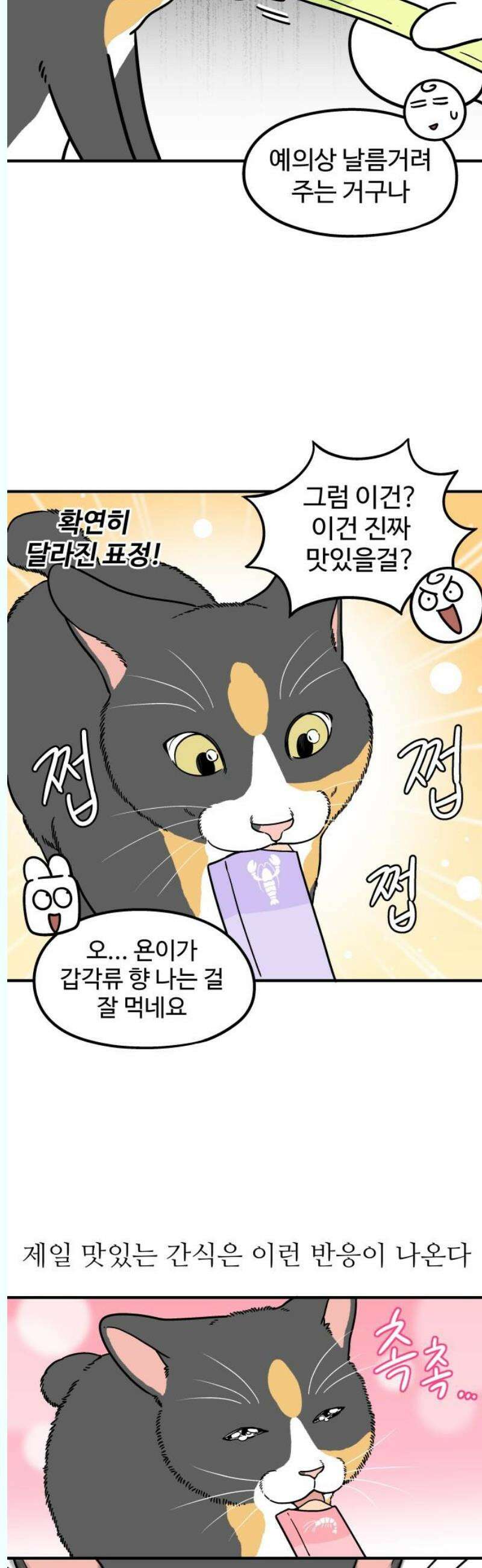 노곤하개 쇼츠 좋아하는 간식 찾기 3