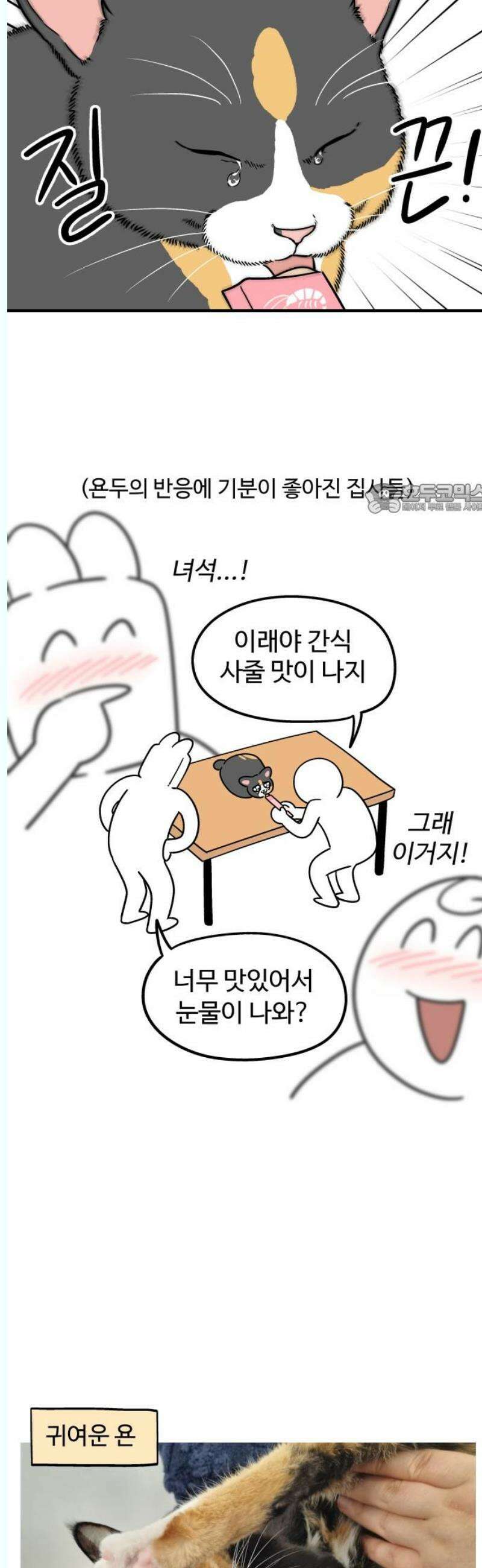 노곤하개 쇼츠 좋아하는 간식 찾기 4