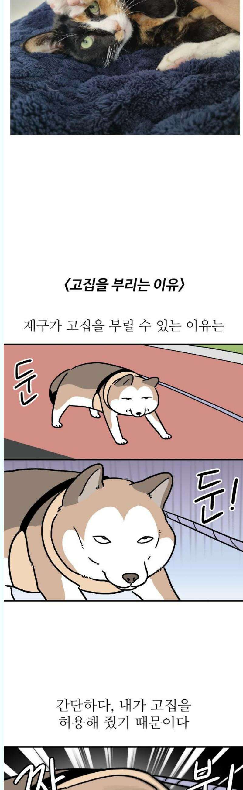 노곤하개 쇼츠 좋아하는 간식 찾기 5